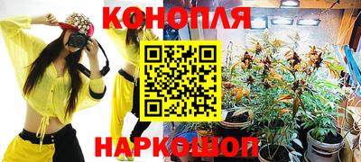 крисы Заводоуковск
